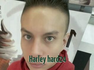 Harley_hard24