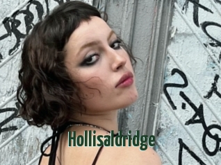 Hollisaldridge