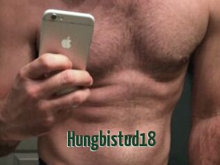 Hungbistud18