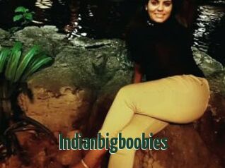 Indianbigboobies