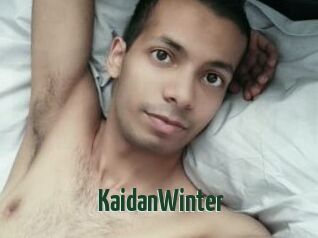 KaidanWinter