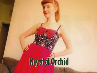 Krystal_Orchid