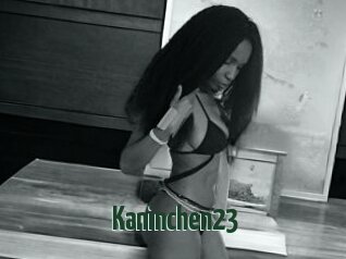 Kaninchen23