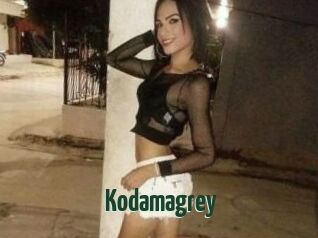 Kodamagrey