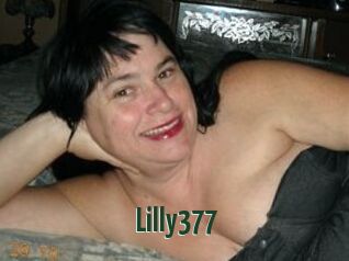 Lilly377