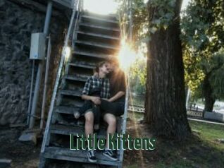 Little_Kittens