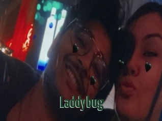 Laddybug