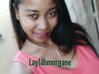 Laylahmorgane