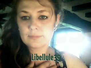 Libellule39