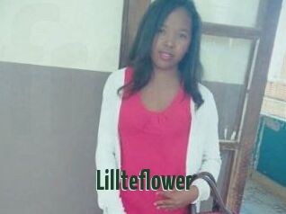 Lillteflower