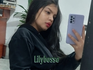 Lilybosse