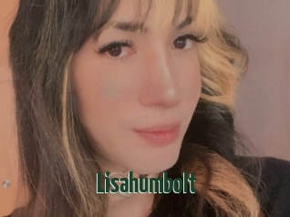 Lisahumbolt