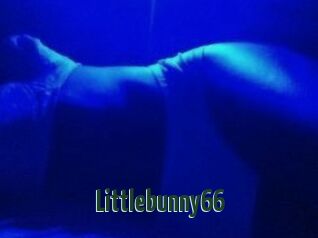 Littlebunny66