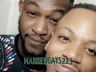 MARRIEDGAYS213