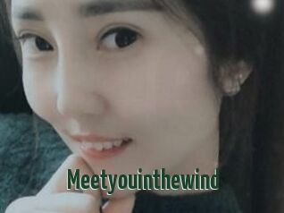 Meetyouinthewind