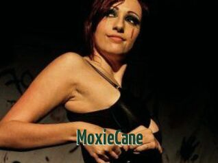 Moxie_Cane