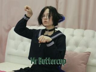 Mr_Buttercup