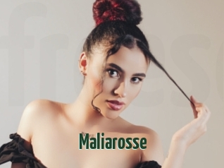 Maliarosse