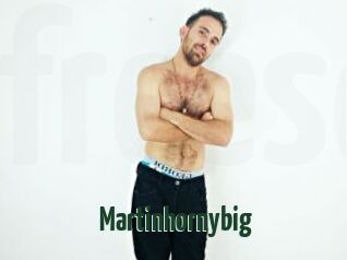 Martinhornybig