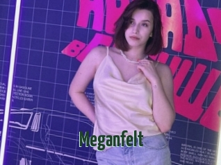 Meganfelt