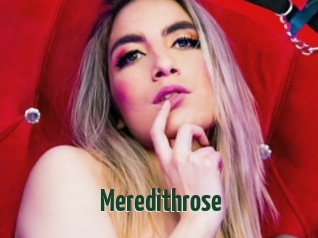 Meredithrose