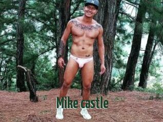 Mike_castle