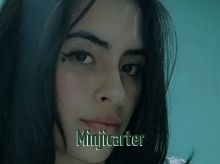 Minjicarter