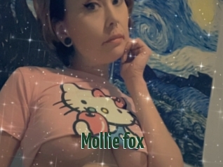 Mollie_fox