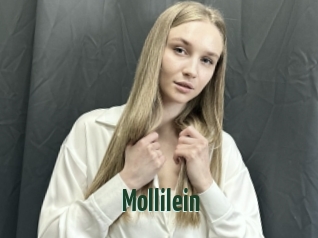 Mollilein