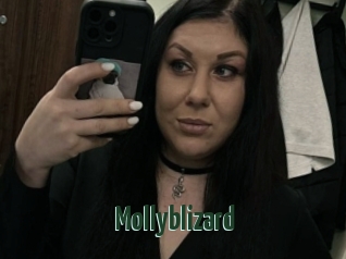 Mollyblizard