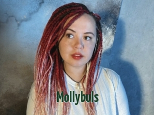 Mollybuls