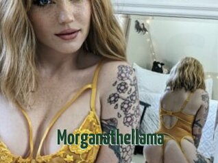 Morganathellama