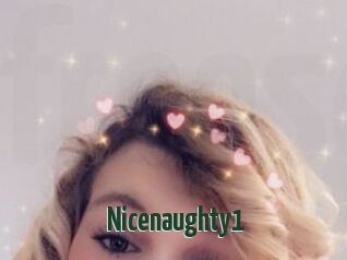 Nicenaughty1