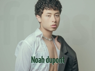 Noah_dupont