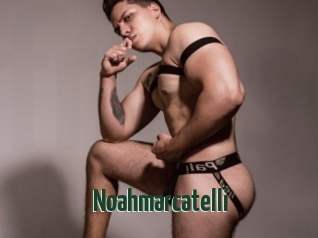 Noahmarcatelli