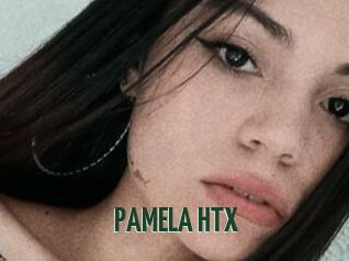 PAMELA_HTX