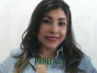 PAMELA_zv