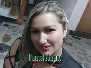 Pamelahorny