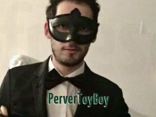 PerverToyBoy