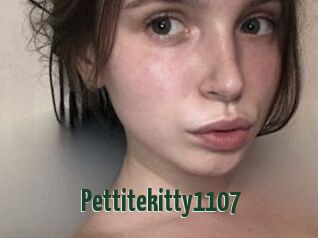 Pettitekitty1107