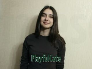 PlayfulCate