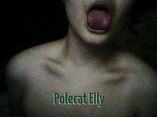 Polecat_Elly