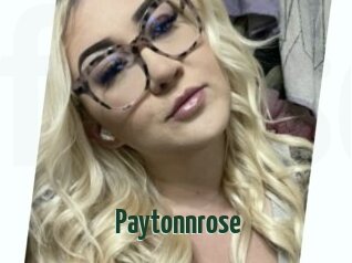 Paytonnrose