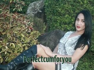 Perfectcumforyou