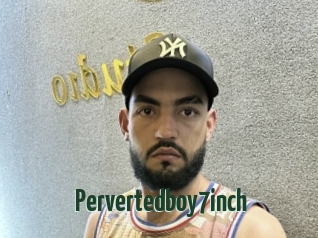 Pervertedboy7inch