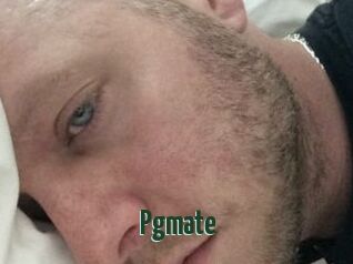 Pgmate