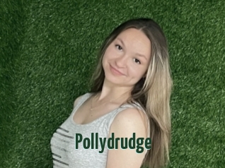 Pollydrudge