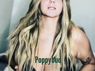 Poppybud