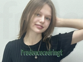 Prudencecodringt