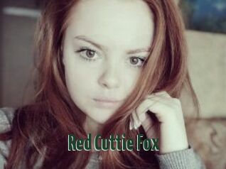 Red_Cuttie_Fox